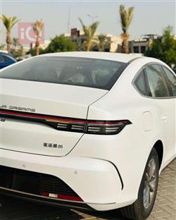 بی وای دی دیسترۆیەر 05